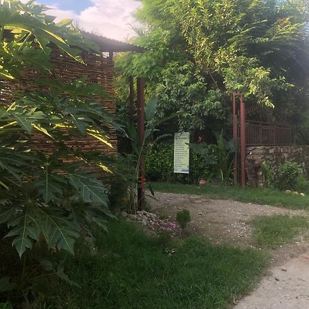Tara Guesthouse - Sauraha,Chitwan Dış mekan fotoğraf