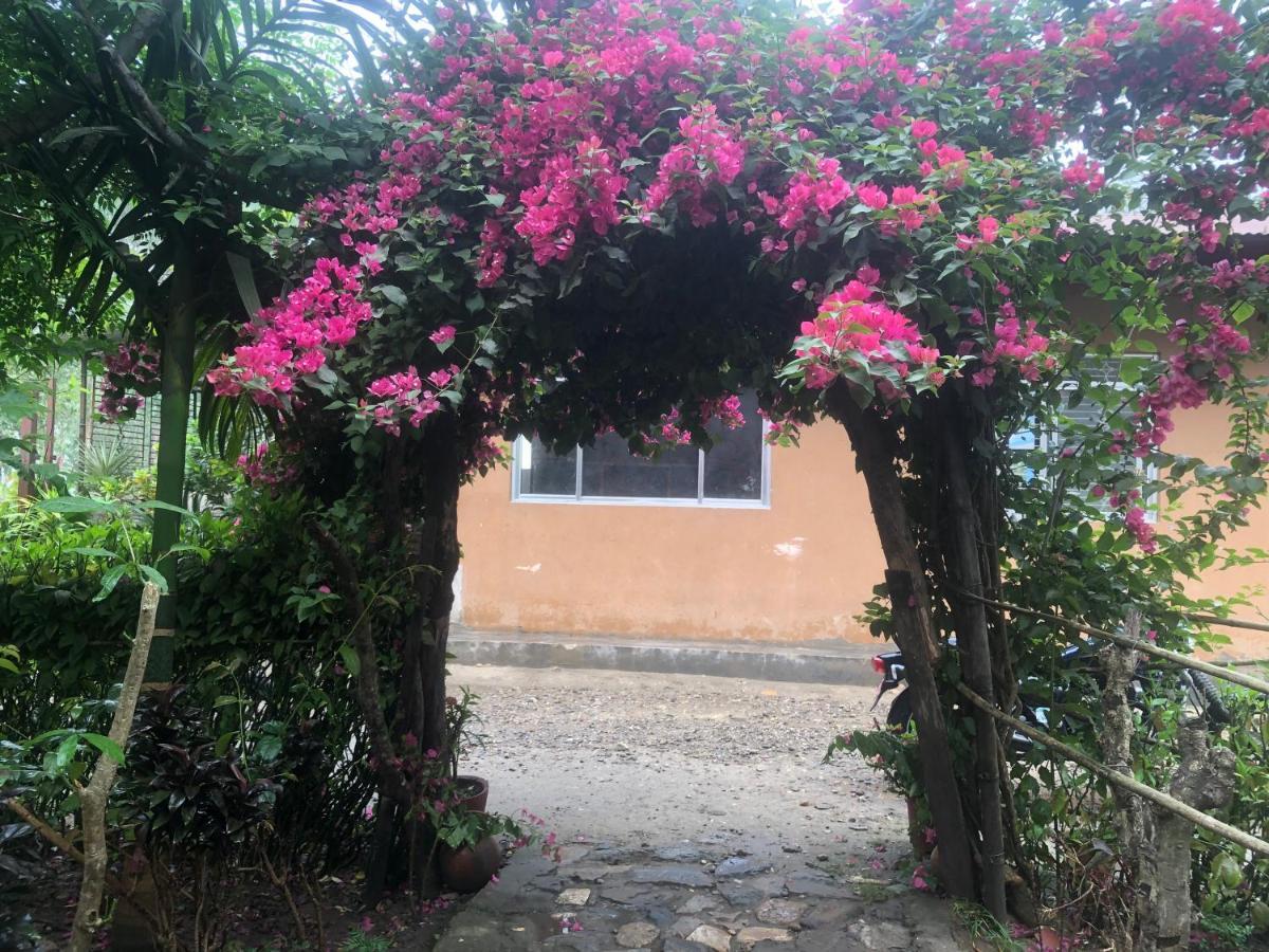 Tara Guesthouse - Sauraha,Chitwan Dış mekan fotoğraf