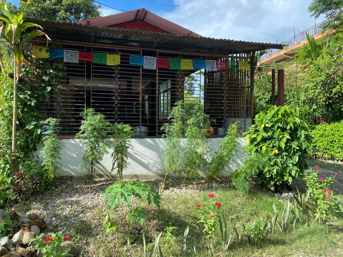 Tara Guesthouse - Sauraha,Chitwan Dış mekan fotoğraf