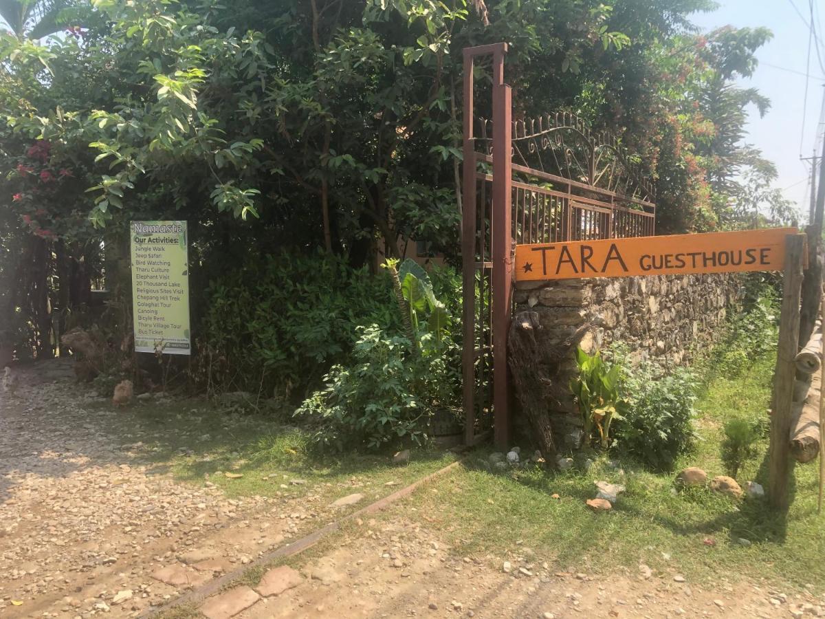 Tara Guesthouse - Sauraha,Chitwan Dış mekan fotoğraf