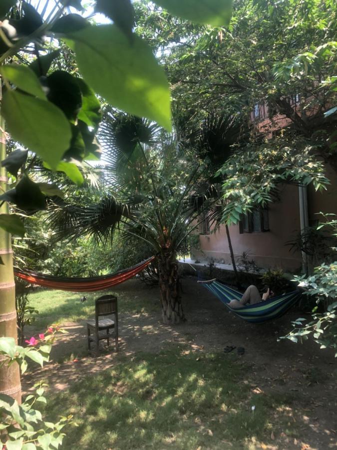 Tara Guesthouse - Sauraha,Chitwan Dış mekan fotoğraf