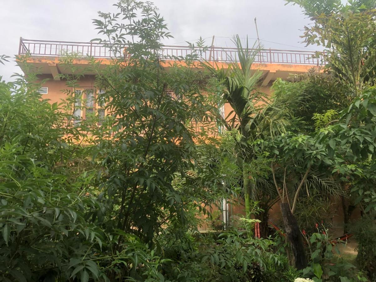 Tara Guesthouse - Sauraha,Chitwan Dış mekan fotoğraf