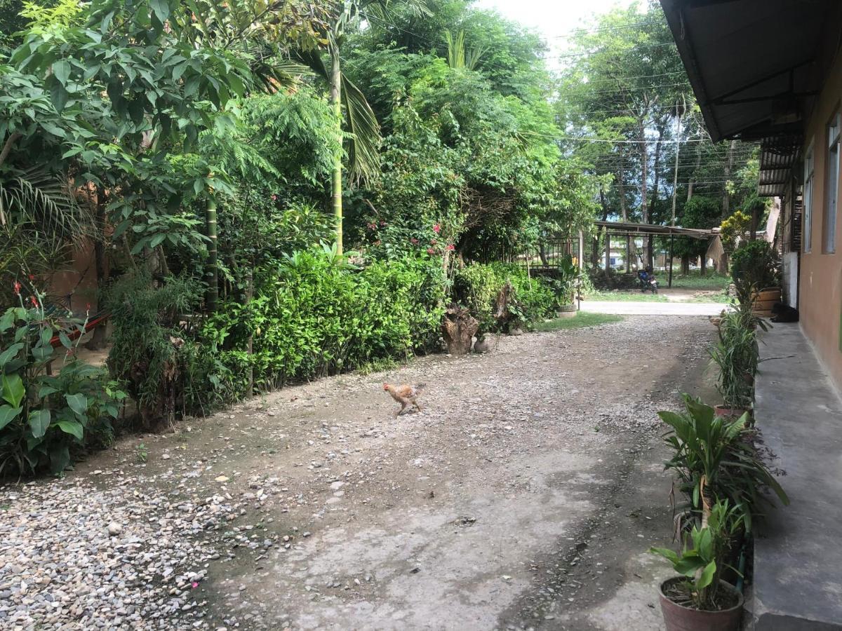 Tara Guesthouse - Sauraha,Chitwan Dış mekan fotoğraf