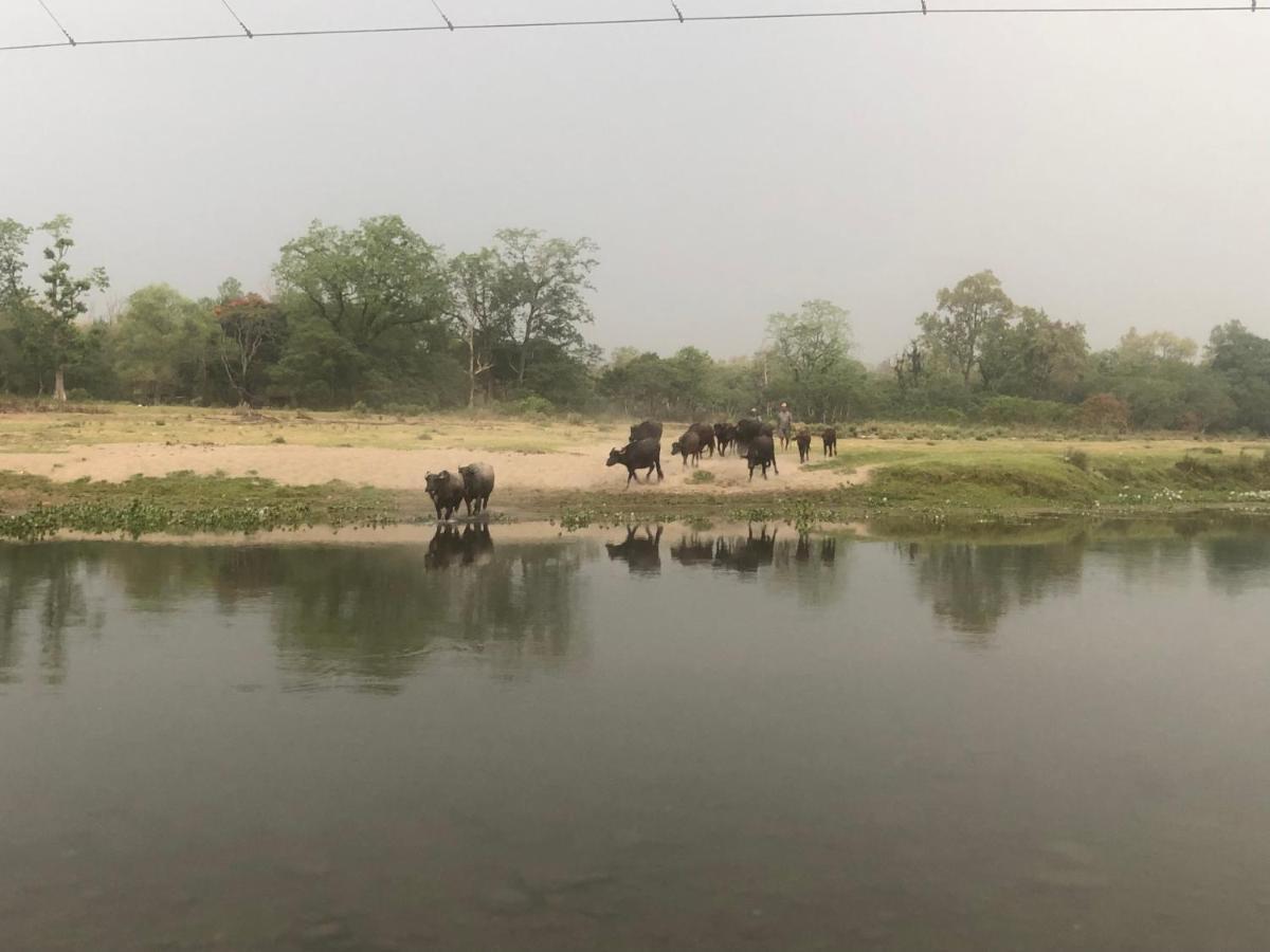 Tara Guesthouse - Sauraha,Chitwan Dış mekan fotoğraf