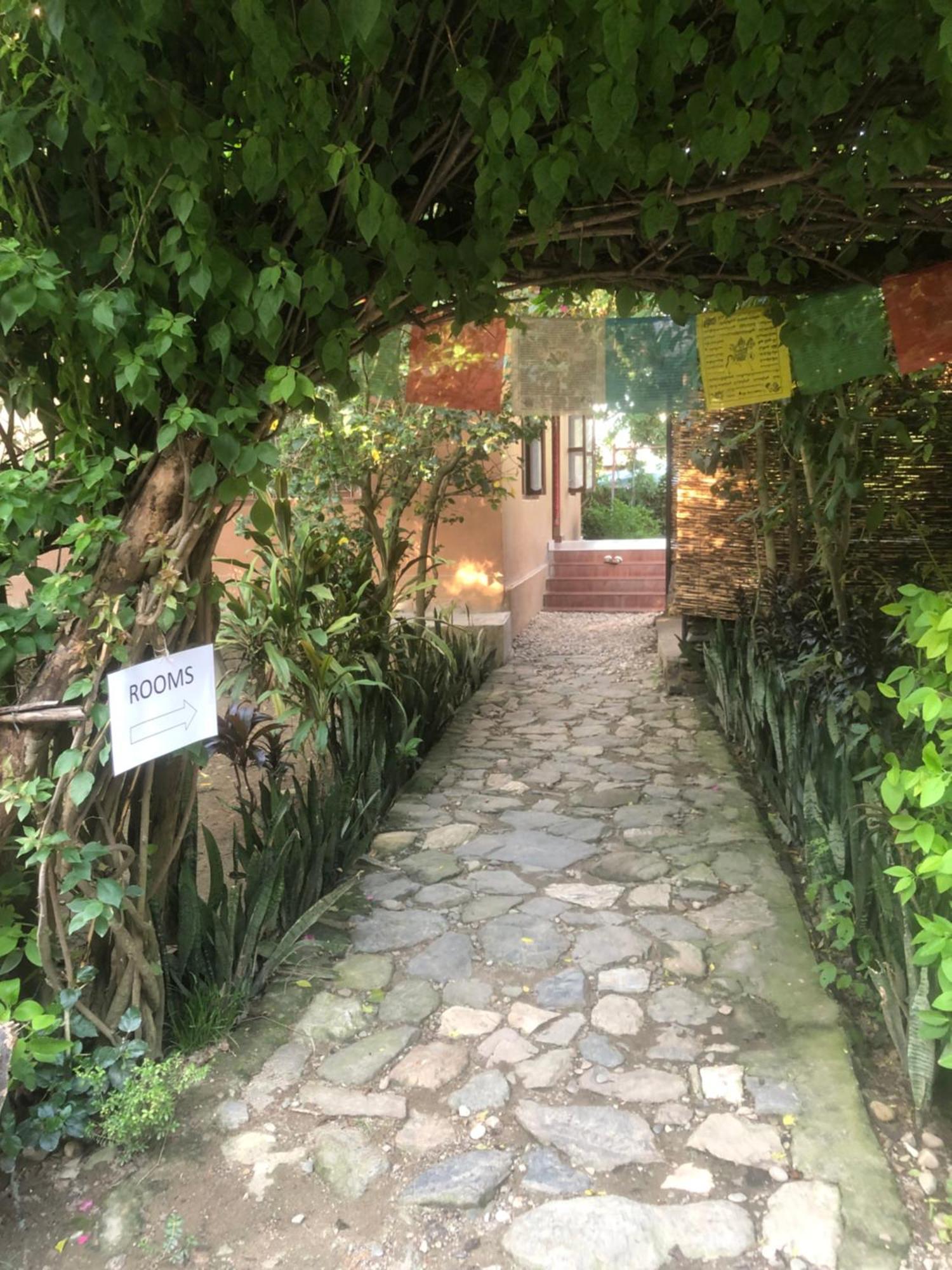 Tara Guesthouse - Sauraha,Chitwan Dış mekan fotoğraf
