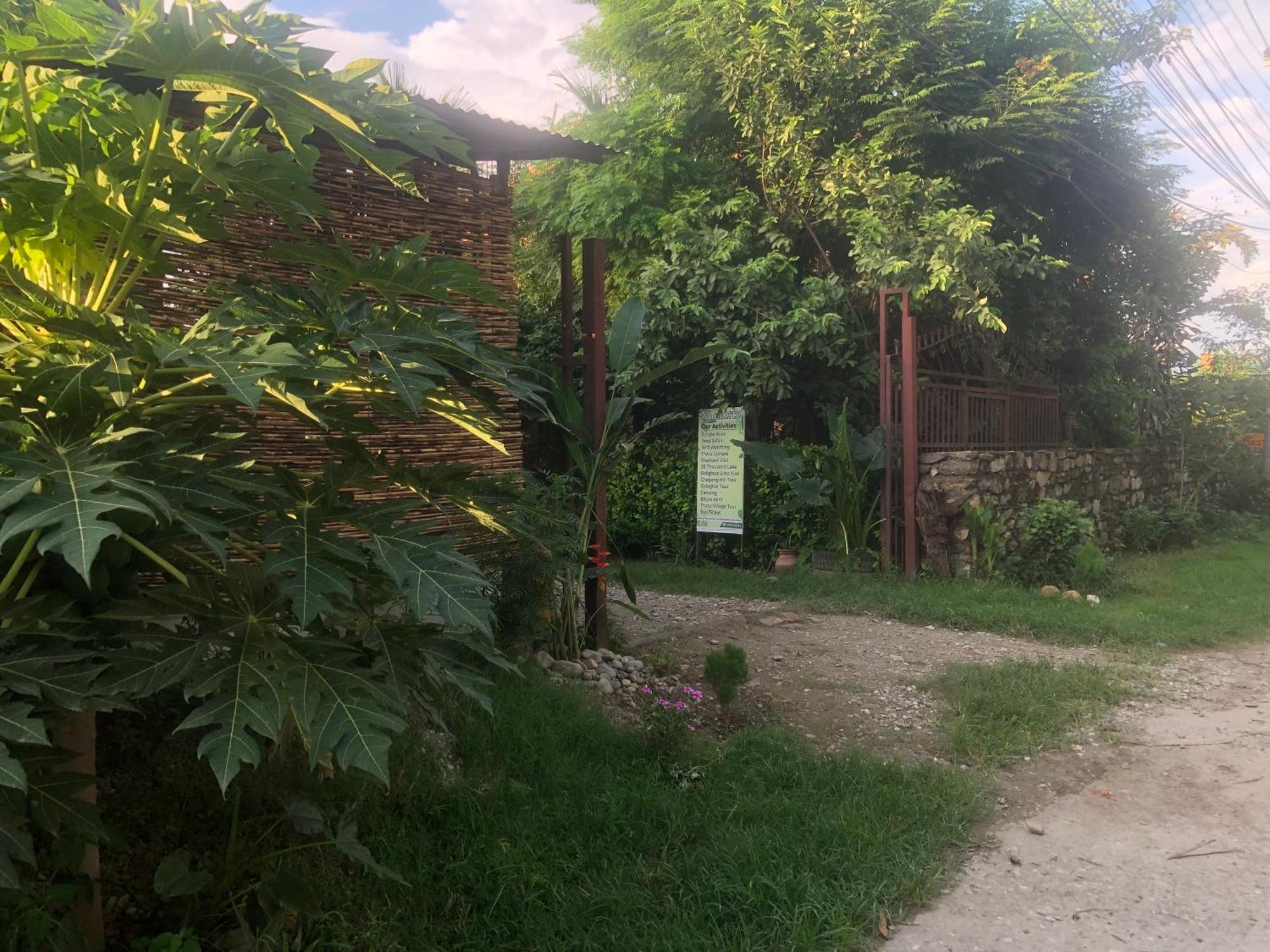 Tara Guesthouse - Sauraha,Chitwan Dış mekan fotoğraf