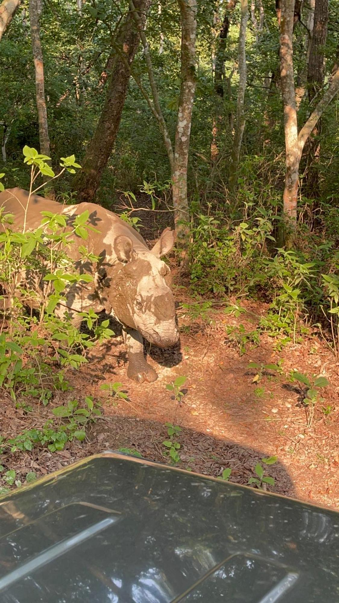 Tara Guesthouse - Sauraha,Chitwan Dış mekan fotoğraf